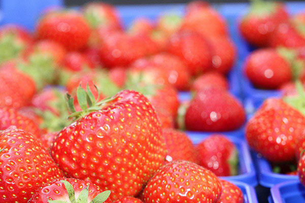 Im Bauernladen Scheiber erhalten Sie frische regionale Erdbeeren